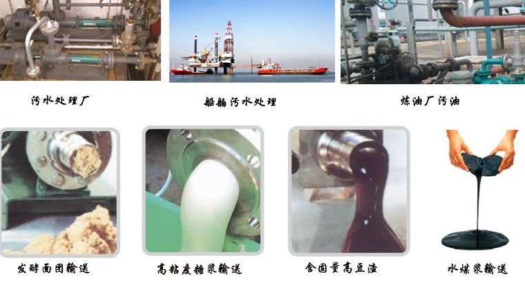 G型單螺桿泵應(yīng)用 G型單螺桿泵應(yīng)用