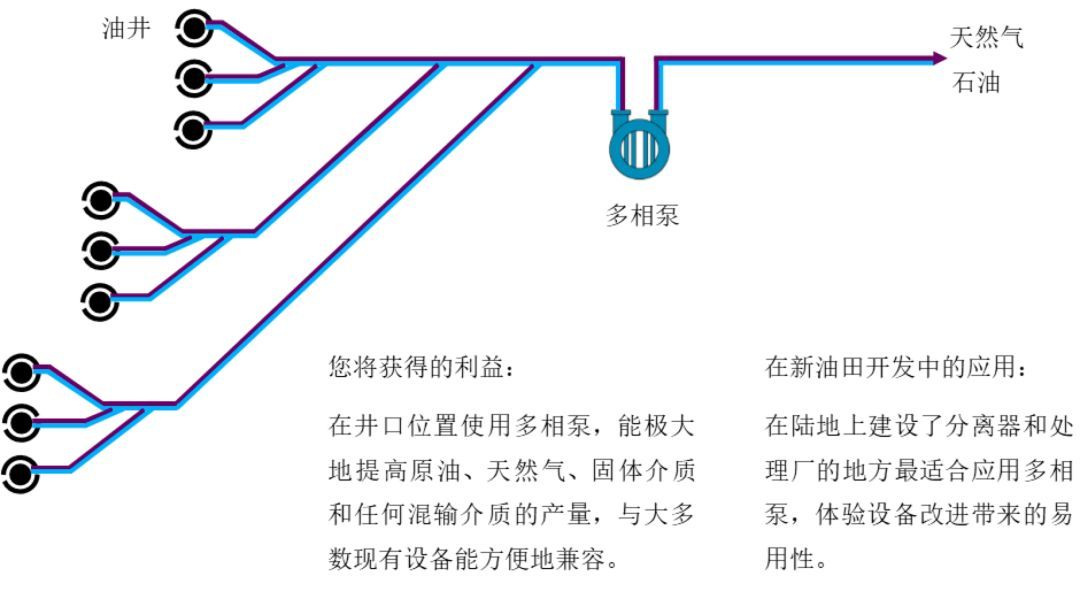 油氣混輸雙螺桿泵